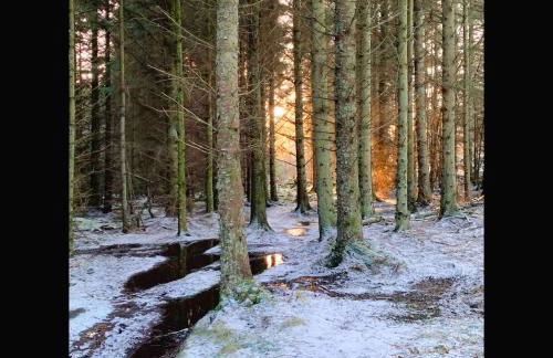 Lovely Semi-rural Caravan & Hot Tub - Sleeps Fam 6 - Photo 47