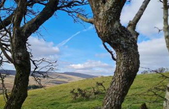 The Cornerstone - Foto 29