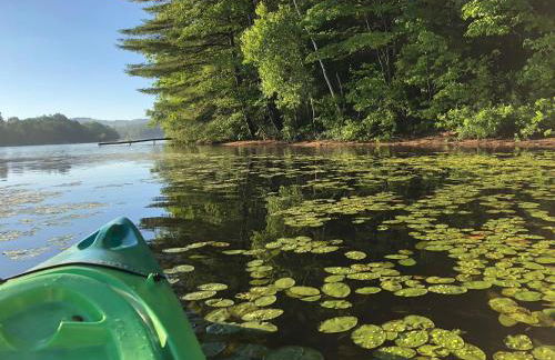 Stylish lake home with private beach, dock and firepit for swimming, kayaking, hiking - Foto 19