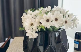 Apto 2 min Uberlândia Shopping, UMC, Leroy Merlin, Unitri c Ar condicionado - Foto 13