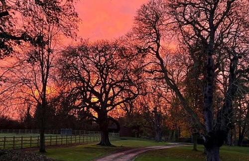 The Priory Cottage - Foto 20