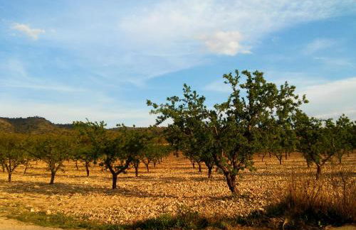 Casa rural el Carmen de la Sierra - Foto 32