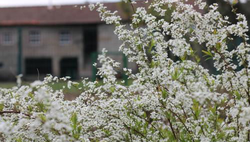 Casa de Requeixo - Foto 3, Garden view