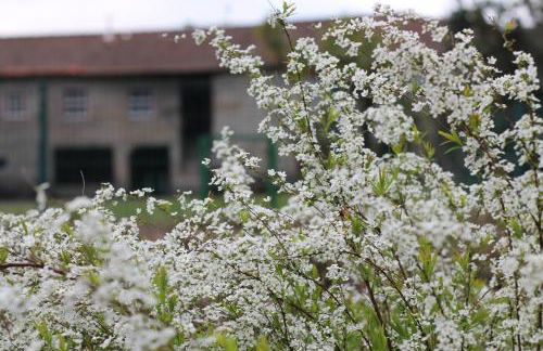 Casa de Requeixo - Foto 3