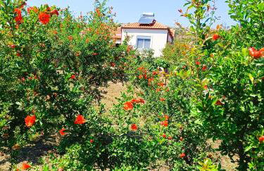 Grandmas Cottage - Photo 35