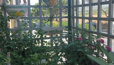 La casa delle api - Foto 2