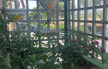 La casa delle api - Foto 2