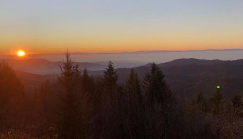 Ferienwohnungen Golla-lang - Foto 2