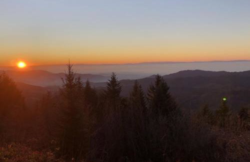 Ferienwohnungen Golla-lang - Foto 2