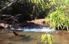 Refúgio em Macacos para até 12 hóspedes com piscina aquecida, 5 suítes e riacho - Foto 46