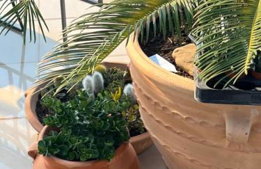 Magical Seaside Town Boutique Apts 2 - Foto 51