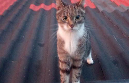 Ferienwohnung Eddi - Foto 1