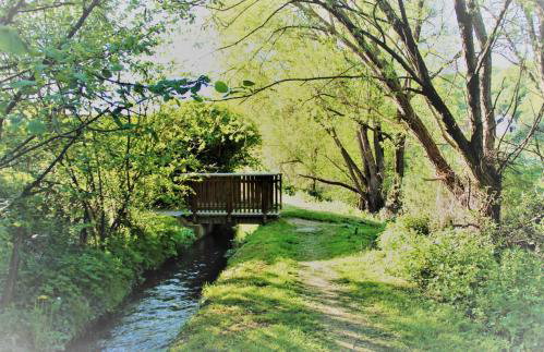 Ferienwohnung Brohltal-Aue - Foto 31