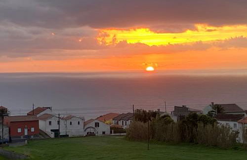 Green Tropical House - Photo 1