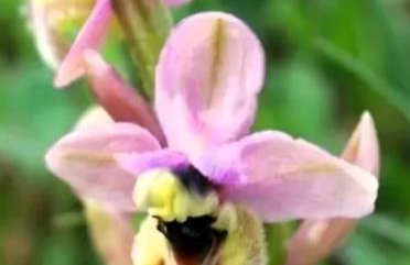 Olive&Sea Villa-OLIVE - Foto 48