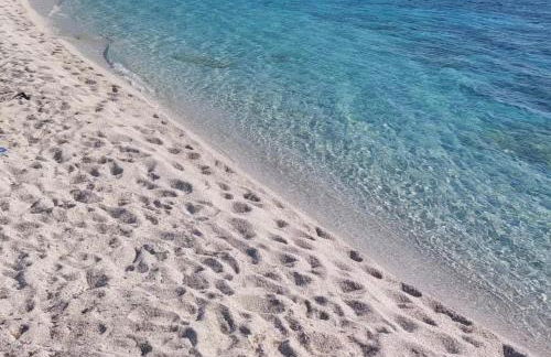 La Conchiglia sul Mare - Foto 12