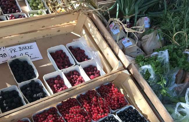 Strandsegård Ferielejligheder - Foto 66