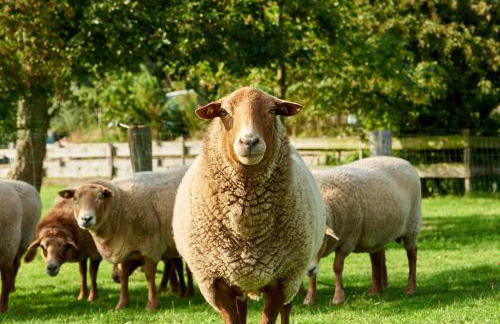 Room and kitchen im Katerberg - Foto 9