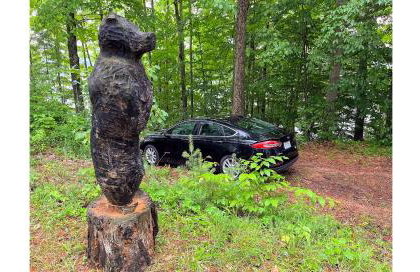 Camp Lake Bear - Foto 61