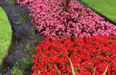 The Beach Apartment, near Outlander location - Foto 71