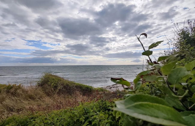 4 Person Holiday Home in Store Fuglede - Foto 35