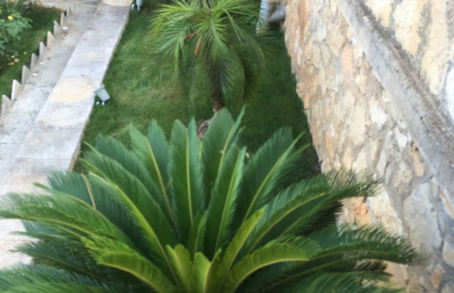 The Rose Garden Villa - Foto 39