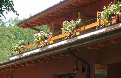 Bosco Romagno - Foto 15