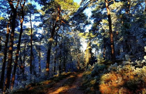 Ferieheisel - Everything, Except Usually! - Foto 82