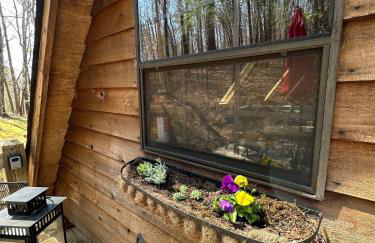 Bearly Behavin - Foto 59