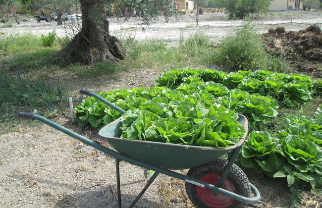 Agriturismo Donna Beatrice - Photo 31