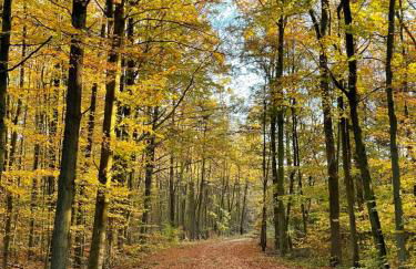 Mein Appartement Hürth Köln - Foto 72