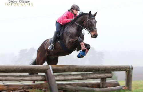 Ferienwohnung Landblick - Photo 11