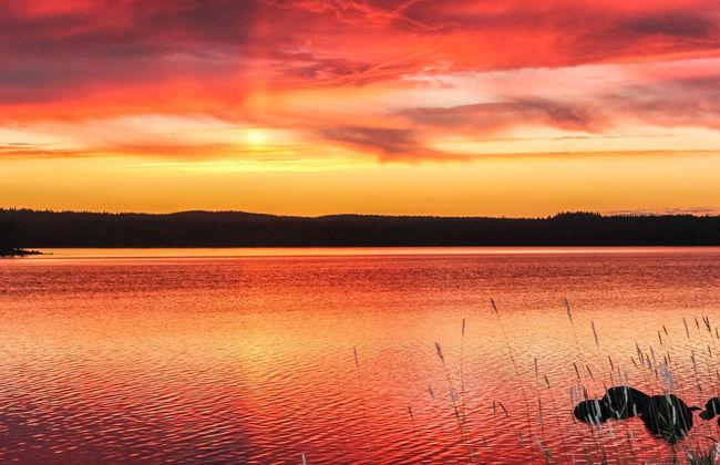 Hamppulahti - Foto 18