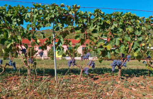 Villa Lujko - Foto 15