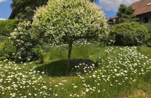 Böhmerwaldnest - Foto 44