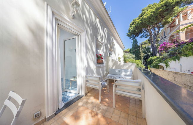 Oliveto Capri - Foto 52