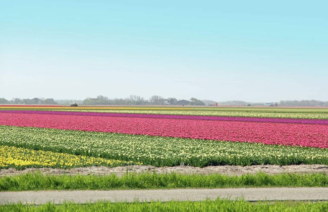 Luxurious Mansion in Callantsoog With Sauna - Photo 35