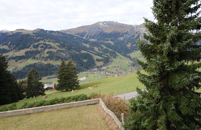 Chalet in Lenk Near Simmen Falls - Photo 27
