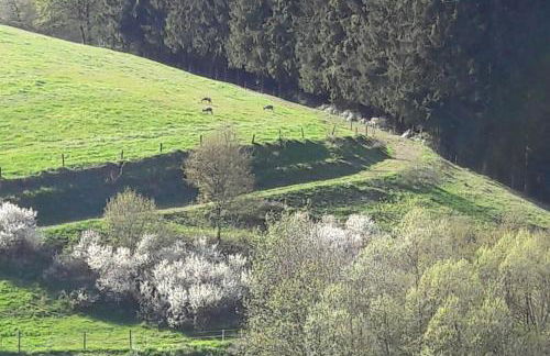 Emmerich`s Ferienwohnung - Foto 11