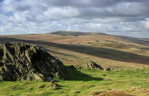 Glascoed Coach House Whitland - Foto 15