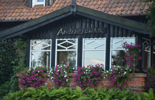 Andrzejówka - Photo 80