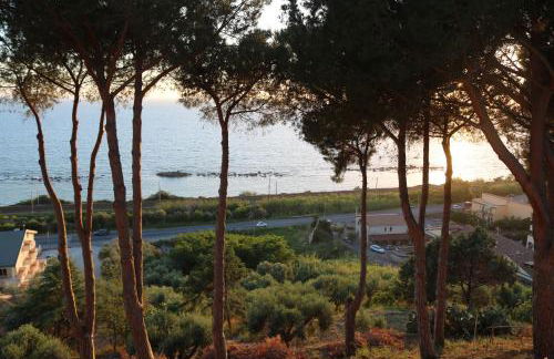 Villa Elvira Country House - Foto 12