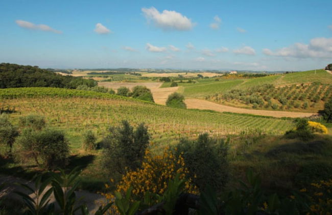 Villa Curina Resort - Photo 78