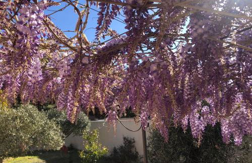 villa Provençal près de la mer - Foto 37