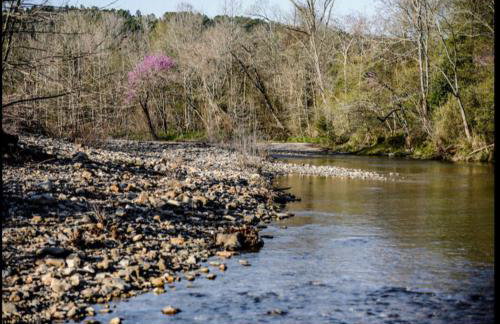Collier Cabin on Collier Creek - Foto 53