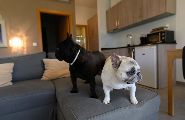 Laje da Bica Agroturismo - Foto 25