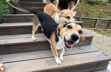 Zambujal Suites - Foto 5