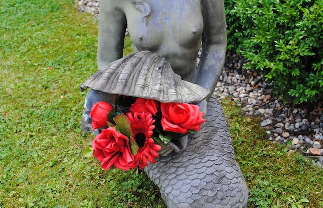 Suite-Apartement-Essen - Foto 31