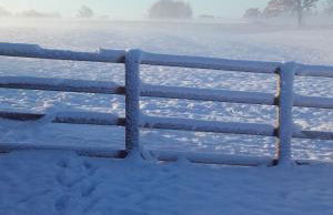 The Haybarn - Foto 55