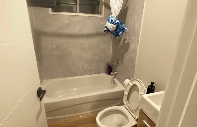 Central 2br Near Unveristy And Whyte Ave - Photo 5